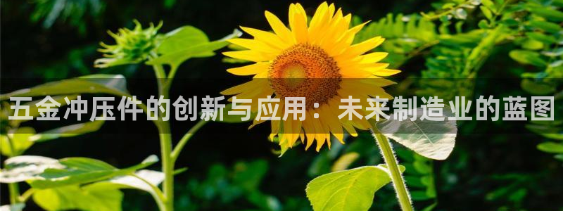 云顶国际高中学费多少