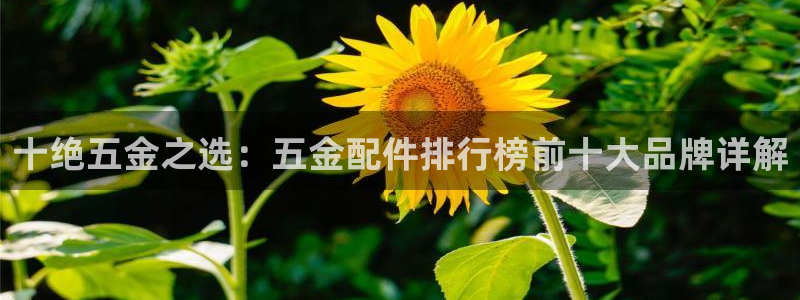 云顶国际服s9更新时间