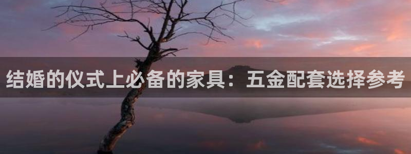 云顶国际版手游