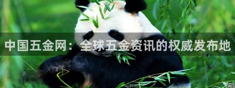 云顶国际ktv宁波