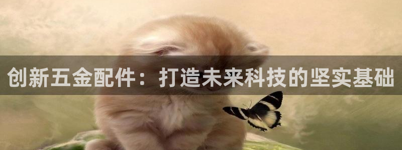 云顶国际app官方下载安装手机版