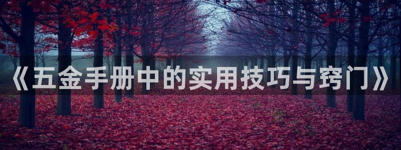 云顶国际服有中文吗