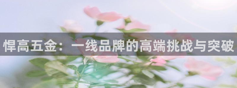 云顶国际公馆二手房出售