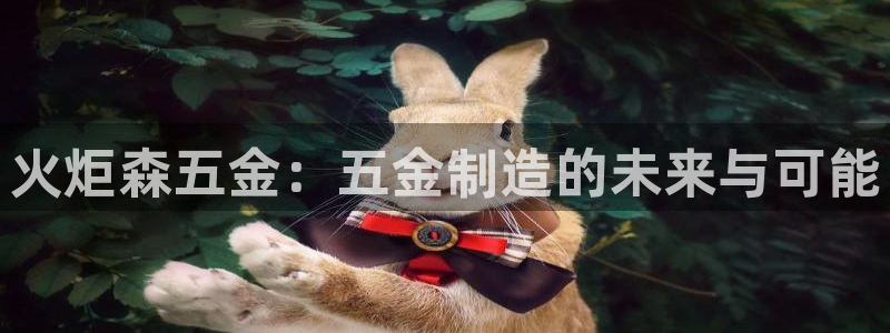 云顶国际物流电话