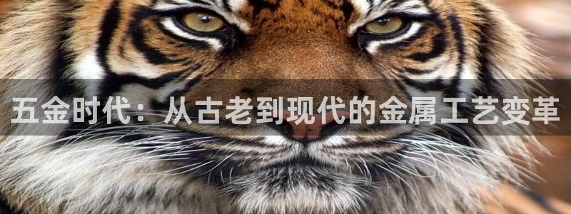 云顶国际账号怎么登录不了了