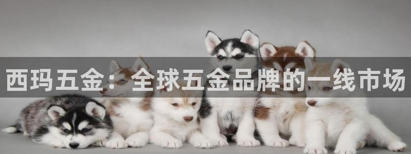 云顶国际俱乐部官网