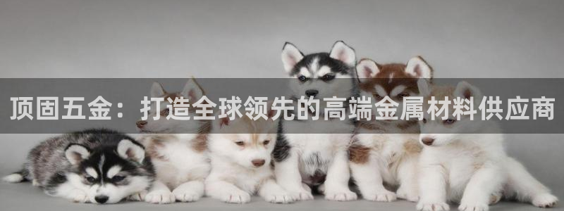 云顶集团董事长林东简历介绍