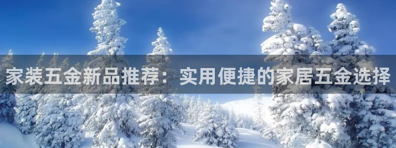 云顶国际服什么时候更新s9.5