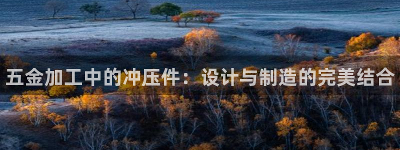 云顶国际是做什么的公司