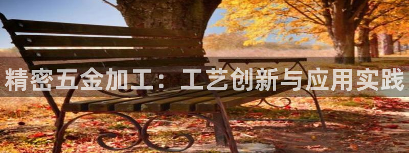 云顶集团有限公司简介图片