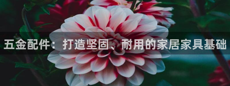 云顶国际会所电话