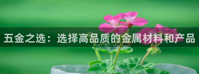 云顶国际俱乐部