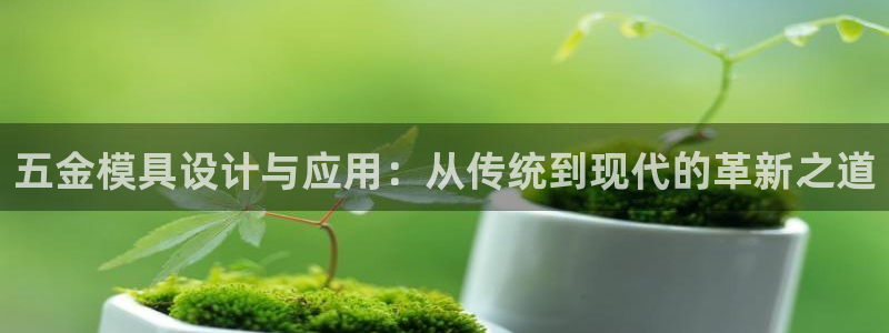 云顶集团APP下载