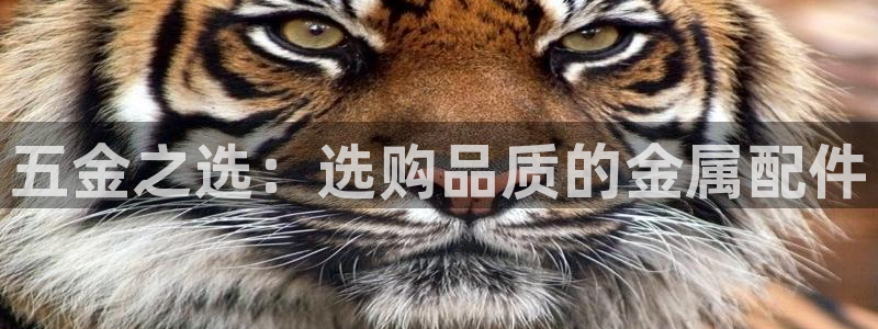 云顶国际app免费下载