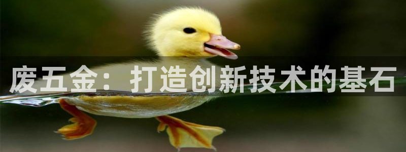 云顶集团老总是谁