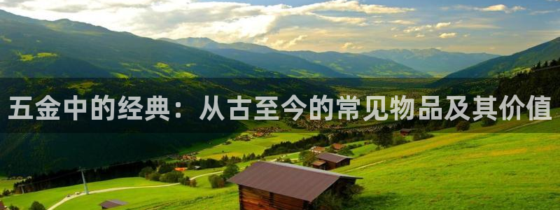 云顶集团有限公司简介图片