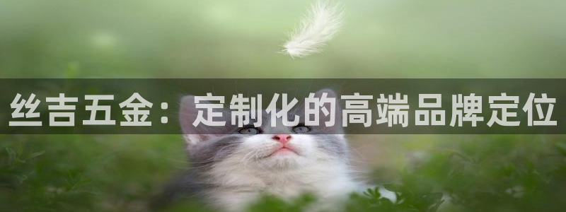 云顶国际电子游戏怎么玩