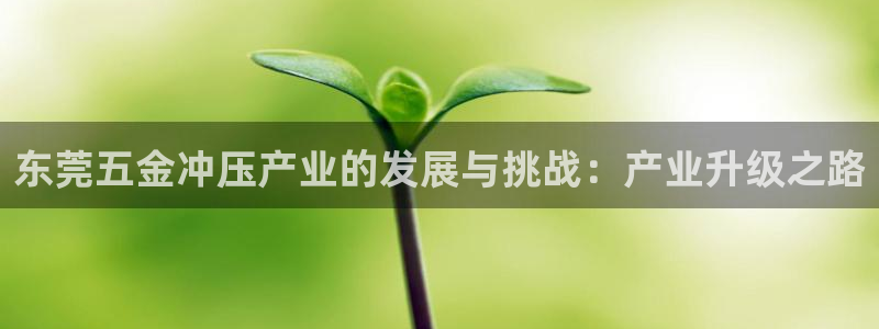 云顶国际是做什么的公司