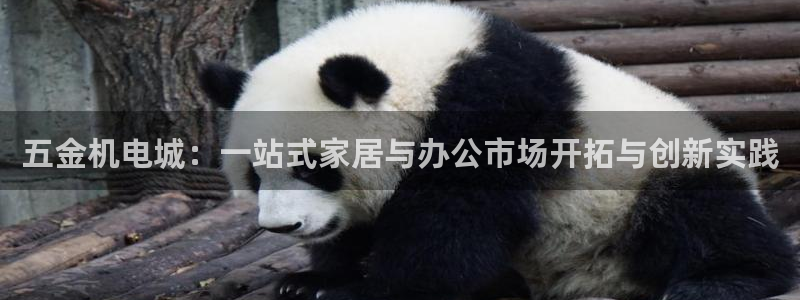 云顶国际百度百科下载