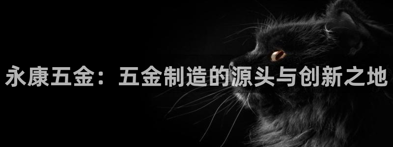 云顶国际服怎么下