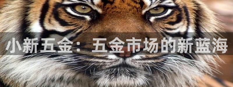 云顶电玩城游戏官网