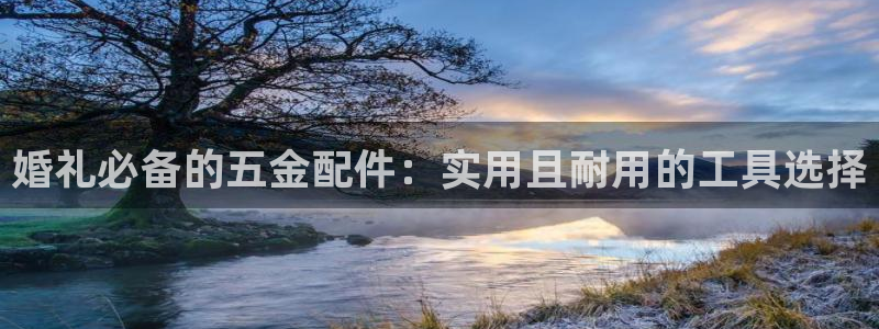 云顶国际网站2713366