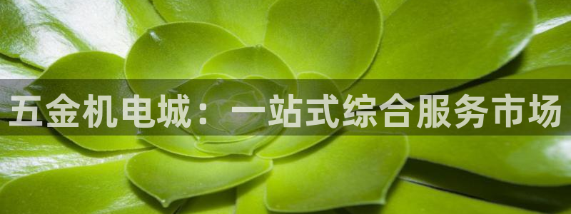 云顶国际软装公司怎么样啊