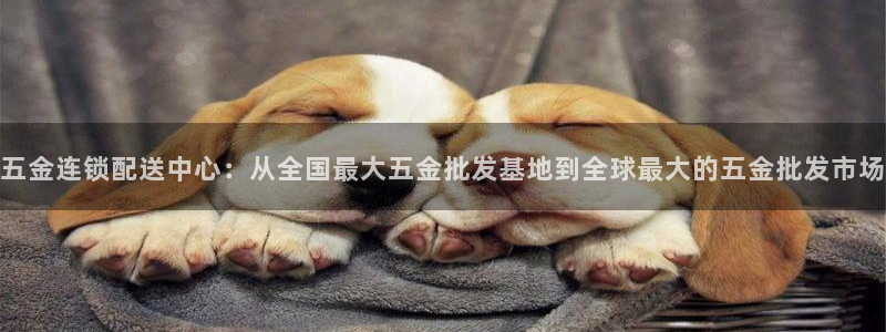 云顶国际服什么时候更新s10的