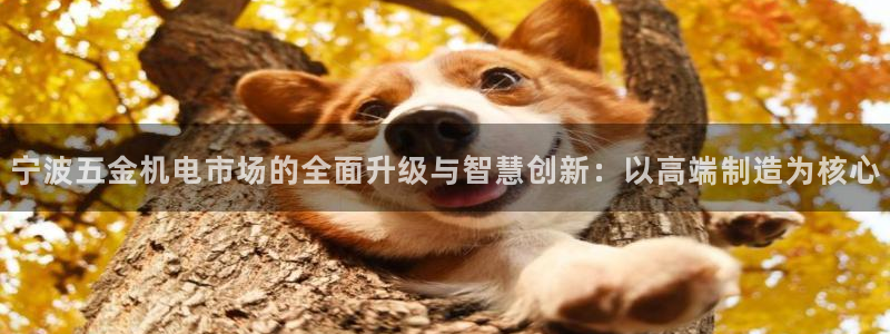 云顶国际体育