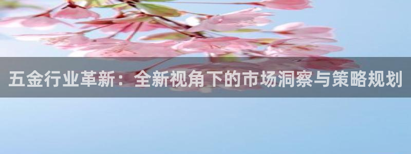 云顶dl