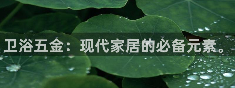 云顶国际旅行社怎么样