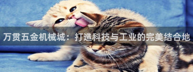 云顶国际网页版官网