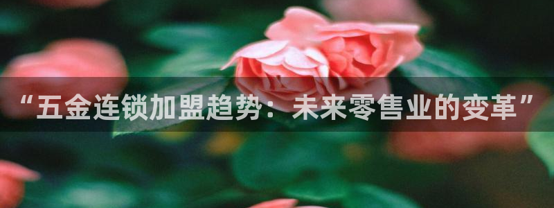 云顶 官网