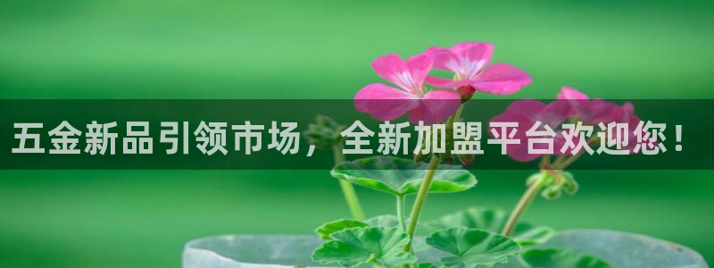 云顶国际会议中心