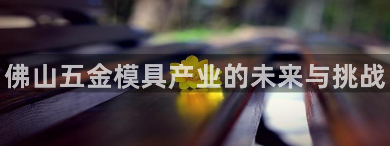 云顶国际服什么时候更新s9.5