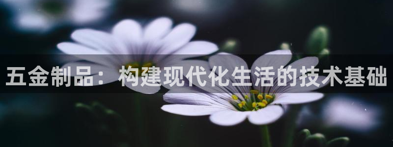 云顶集团林志华简介